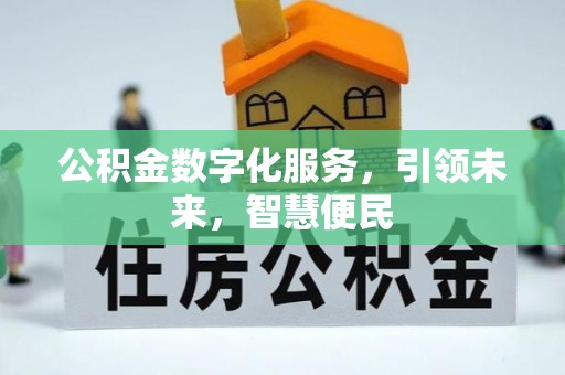 金普新区公积金数字化服务，引领未来，智慧便民