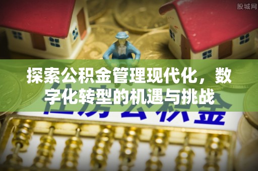 金普新区探索公积金管理现代化，数字化转型的机遇与挑战