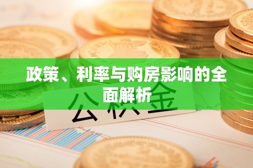 金普新区政策、利率与购房影响的全面解析