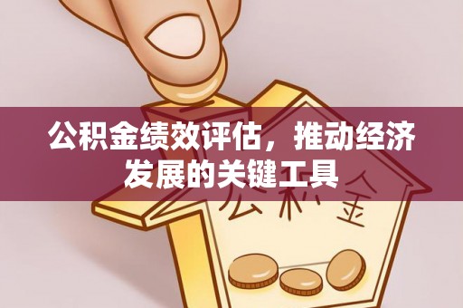 金普新区公积金绩效评估，推动经济发展的关键工具