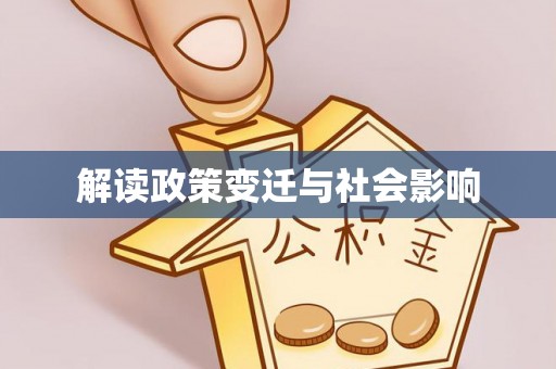 金普新区解读政策变迁与社会影响