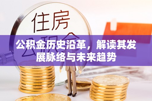 金普新区公积金历史沿革，解读其发展脉络与未来趋势