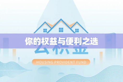 金普新区你的权益与便利之选