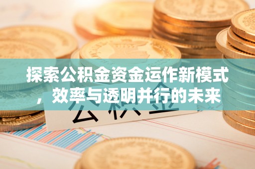 金普新区探索公积金资金运作新模式，效率与透明并行的未来