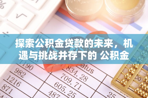 金普新区探索公积金贷款的未来，机遇与挑战并存下的 公积金贷款风险防控