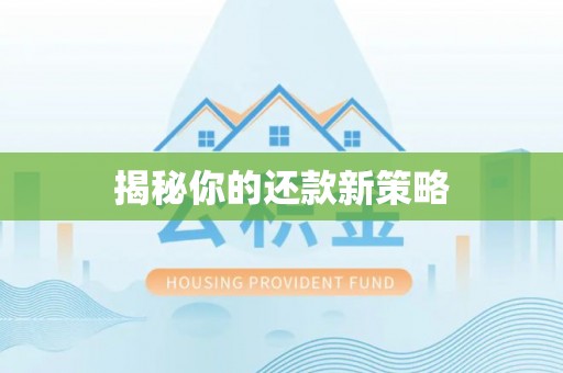 金普新区揭秘你的还款新策略