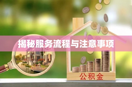 金普新区揭秘服务流程与注意事项