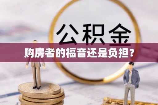 金普新区购房者的福音还是负担？