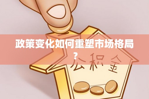 金普新区政策变化如何重塑市场格局？