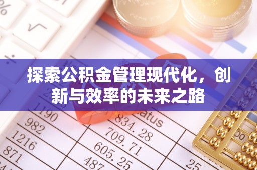 金普新区探索公积金管理现代化，创新与效率的未来之路