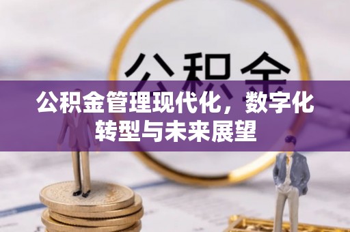 金普新区公积金管理现代化，数字化转型与未来展望