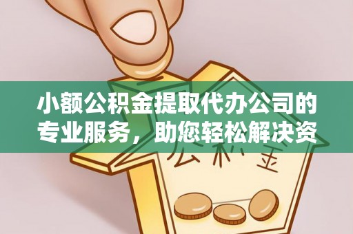 金普新区小额公积金提取代办公司的专业服务，助您轻松解决资金难题