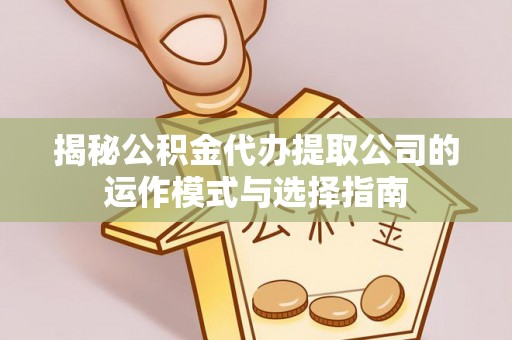 金普新区揭秘公积金代办提取公司的运作模式与选择指南