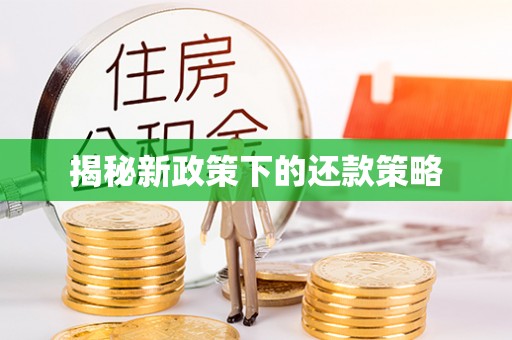 金普新区揭秘新政策下的还款策略