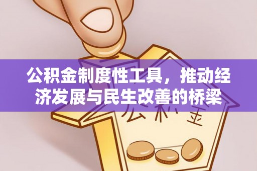 金普新区公积金制度性工具，推动经济发展与民生改善的桥梁