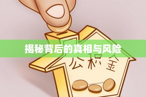 金普新区揭秘背后的真相与风险