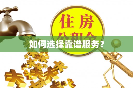 金普新区如何选择靠谱服务？