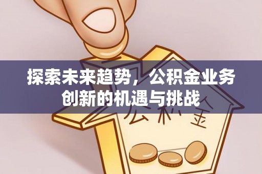 金普新区探索未来趋势，公积金业务创新的机遇与挑战