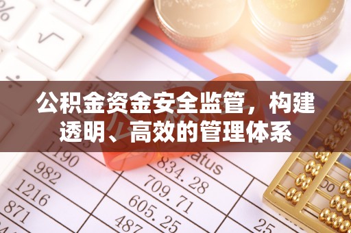 金普新区公积金资金安全监管，构建透明、高效的管理体系