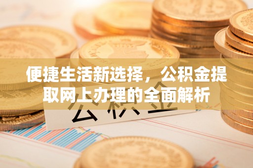 金普新区便捷生活新选择，公积金提取网上办理的全面解析