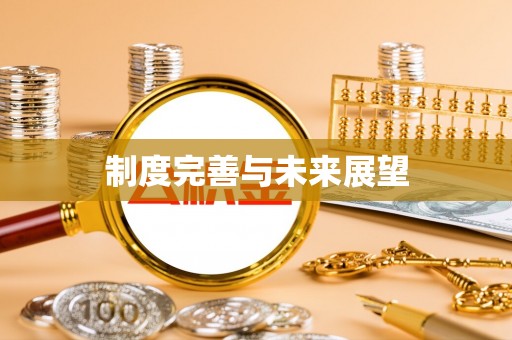 金普新区制度完善与未来展望