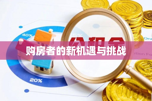 金普新区购房者的新机遇与挑战