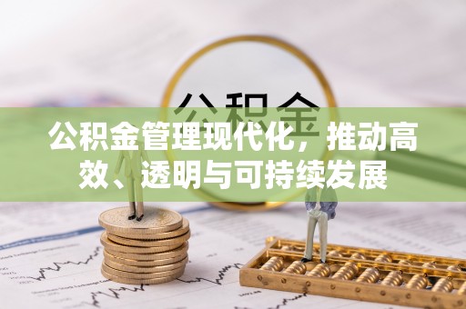 金普新区公积金管理现代化，推动高效、透明与可持续发展