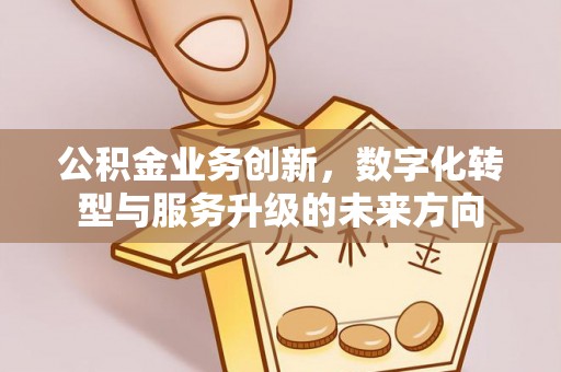 金普新区公积金业务创新，数字化转型与服务升级的未来方向