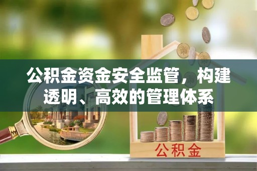 金普新区公积金资金安全监管，构建透明、高效的管理体系