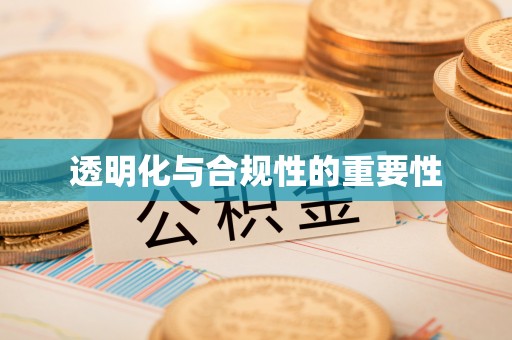 金普新区透明化与合规性的重要性