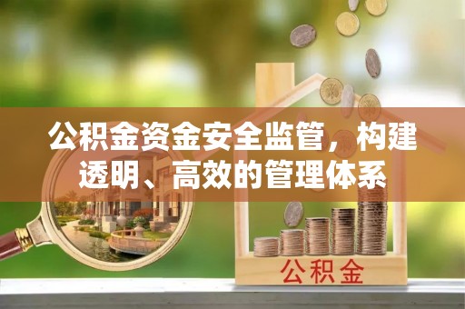金普新区公积金资金安全监管，构建透明、高效的管理体系