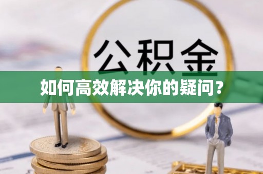 金普新区如何高效解决你的疑问？