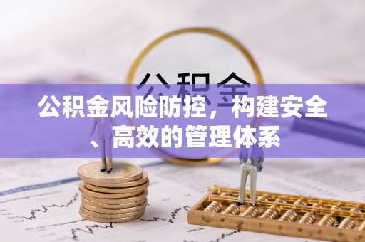 金普新区公积金风险防控，构建安全、高效的管理体系