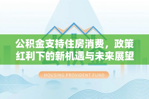 金普新区公积金支持住房消费，政策红利下的新机遇与未来展望