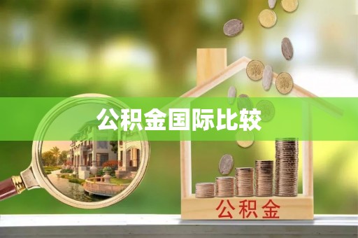 金普新区公积金国际比较