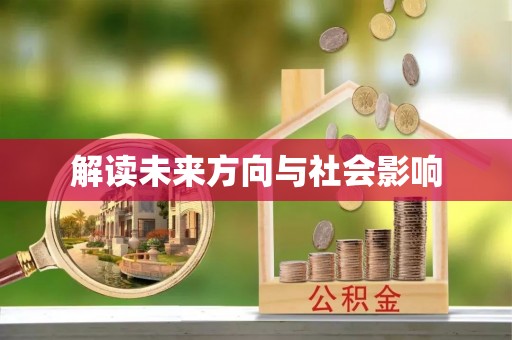 金普新区解读未来方向与社会影响