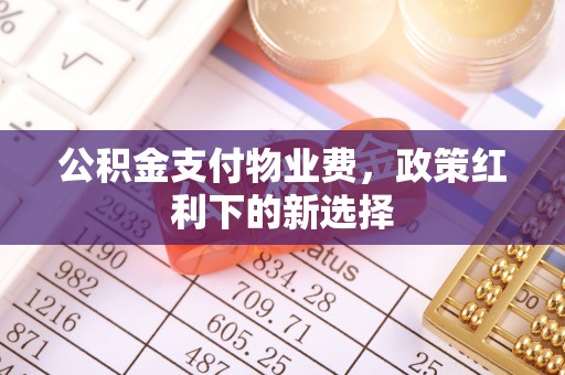 金普新区公积金支付物业费，政策红利下的新选择