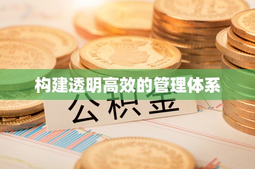 金普新区构建透明高效的管理体系