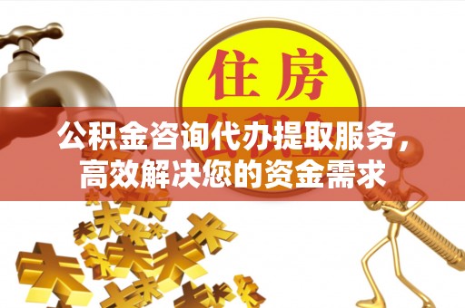 金普新区公积金咨询代办提取服务，高效解决您的资金需求