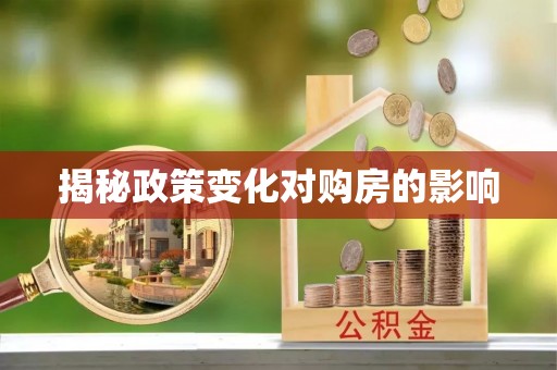 金普新区揭秘政策变化对购房的影响