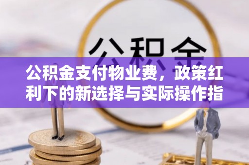 金普新区公积金支付物业费，政策红利下的新选择与实际操作指南