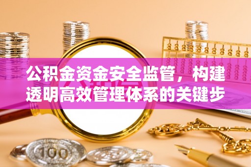 金普新区公积金资金安全监管，构建透明高效管理体系的关键步骤