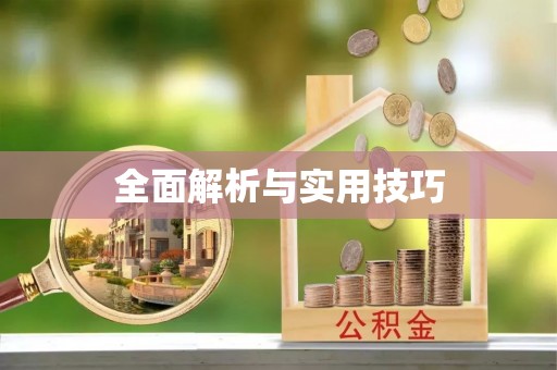 金普新区全面解析与实用技巧