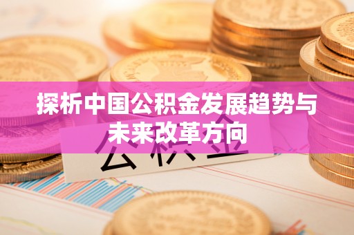 金普新区探析中国公积金发展趋势与未来改革方向