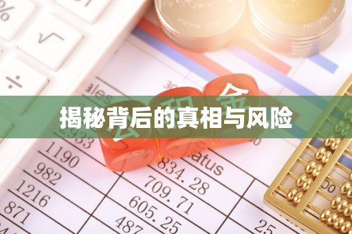 金普新区揭秘背后的真相与风险