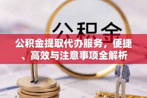 金普新区公积金提取代办服务，便捷、高效与注意事项全解析