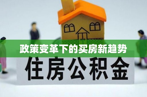 金普新区政策变革下的买房新趋势