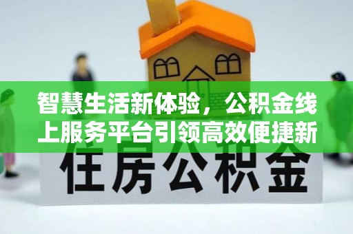 金普新区智慧生活新体验，公积金线上服务平台引领高效便捷新潮流