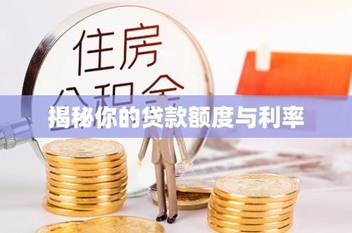 金普新区揭秘你的贷款额度与利率