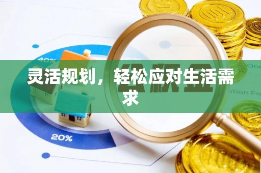 金普新区灵活规划，轻松应对生活需求